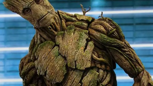 Groot