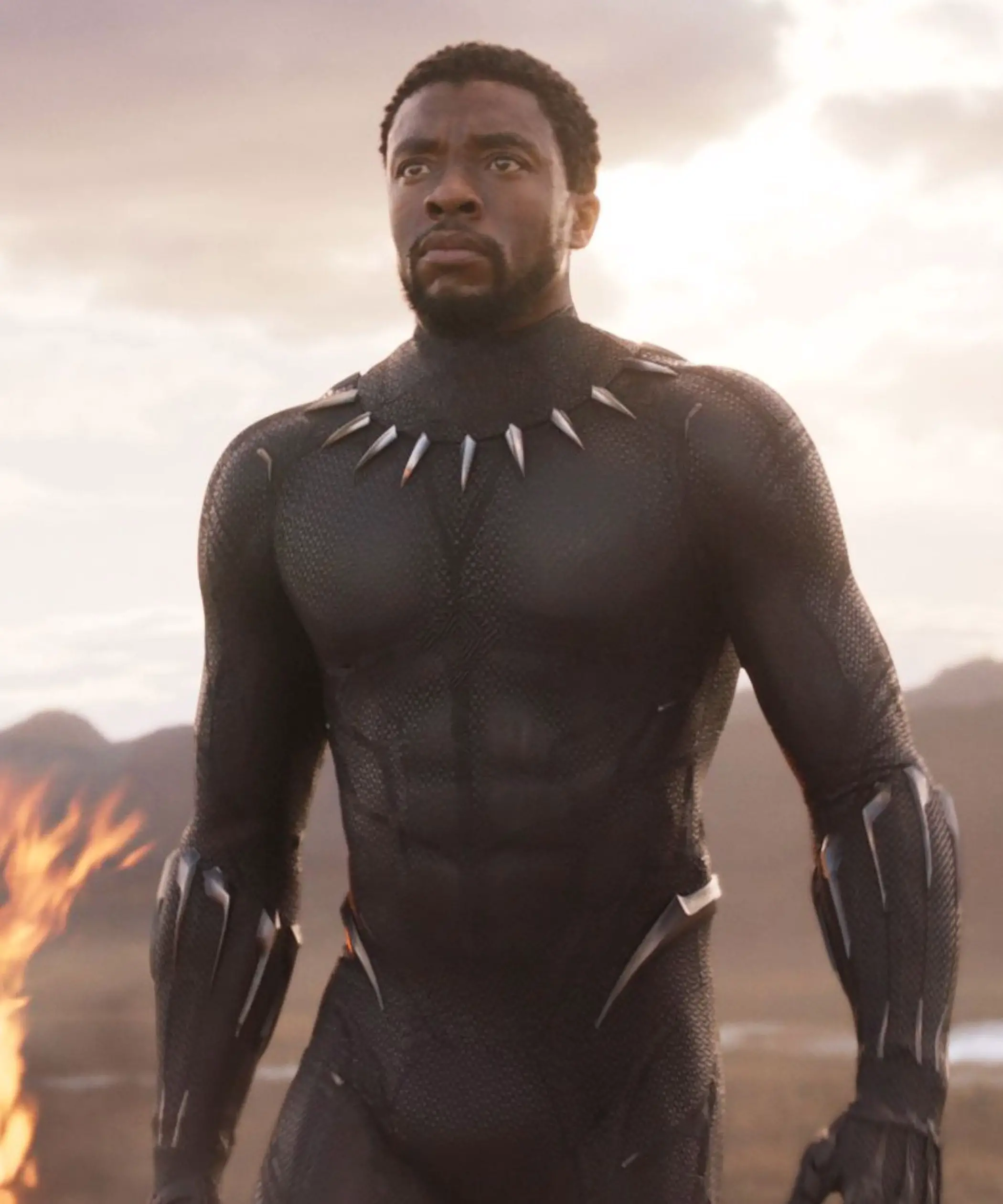 Chadwick Boseman as Black Panther