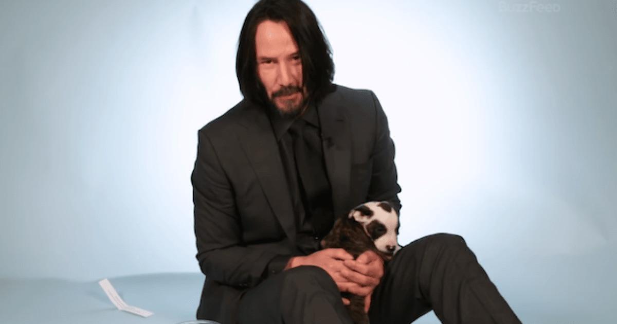 Keanu Reeves with Puppies