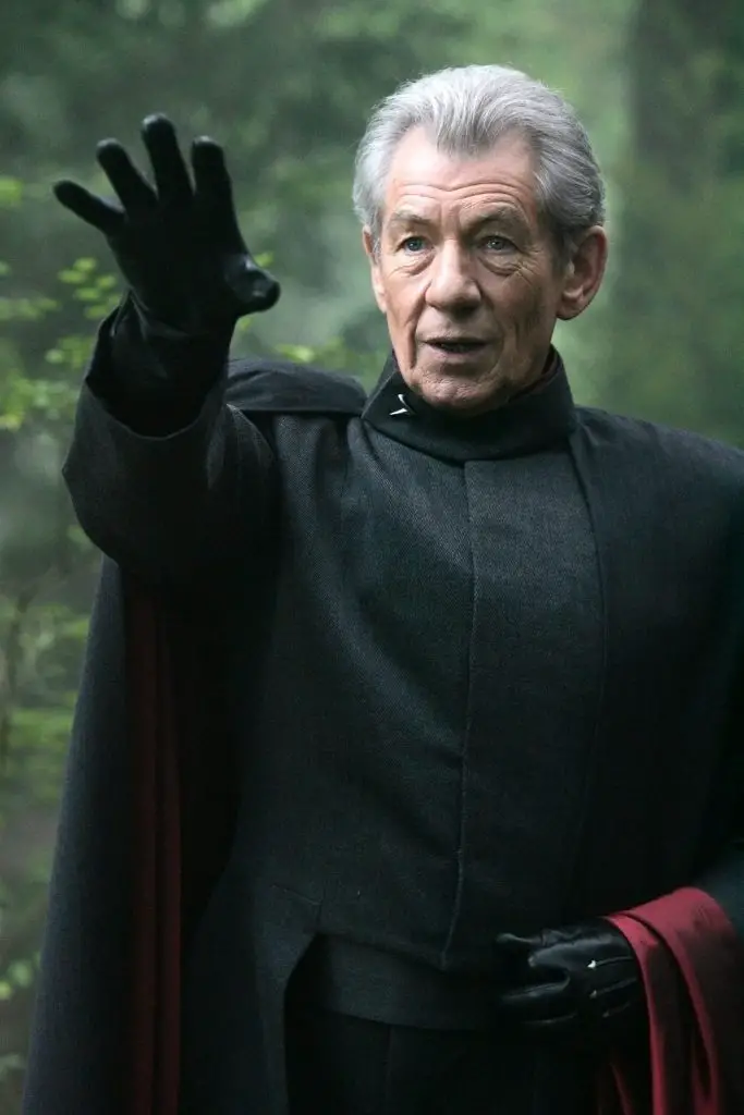 Magneto-From-X-Men-Days-Future-Past