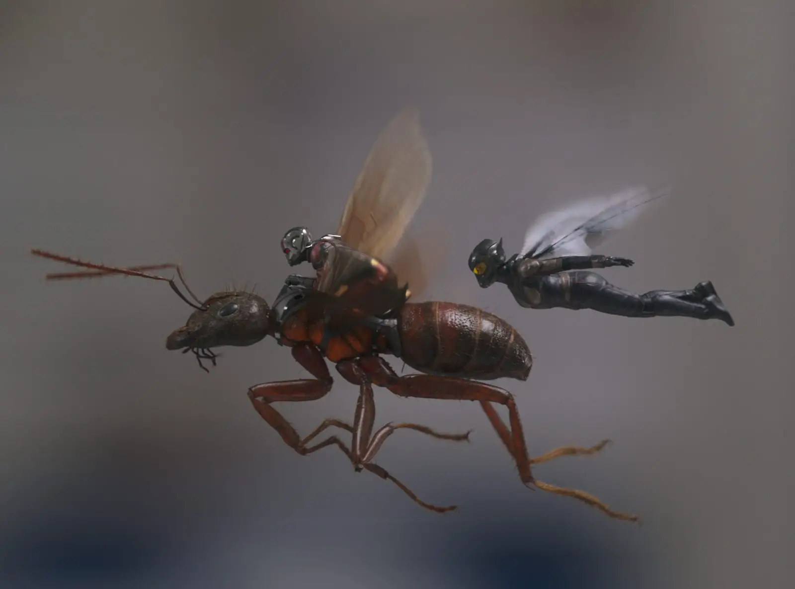 Ant-Man and the Wasp Movie Still