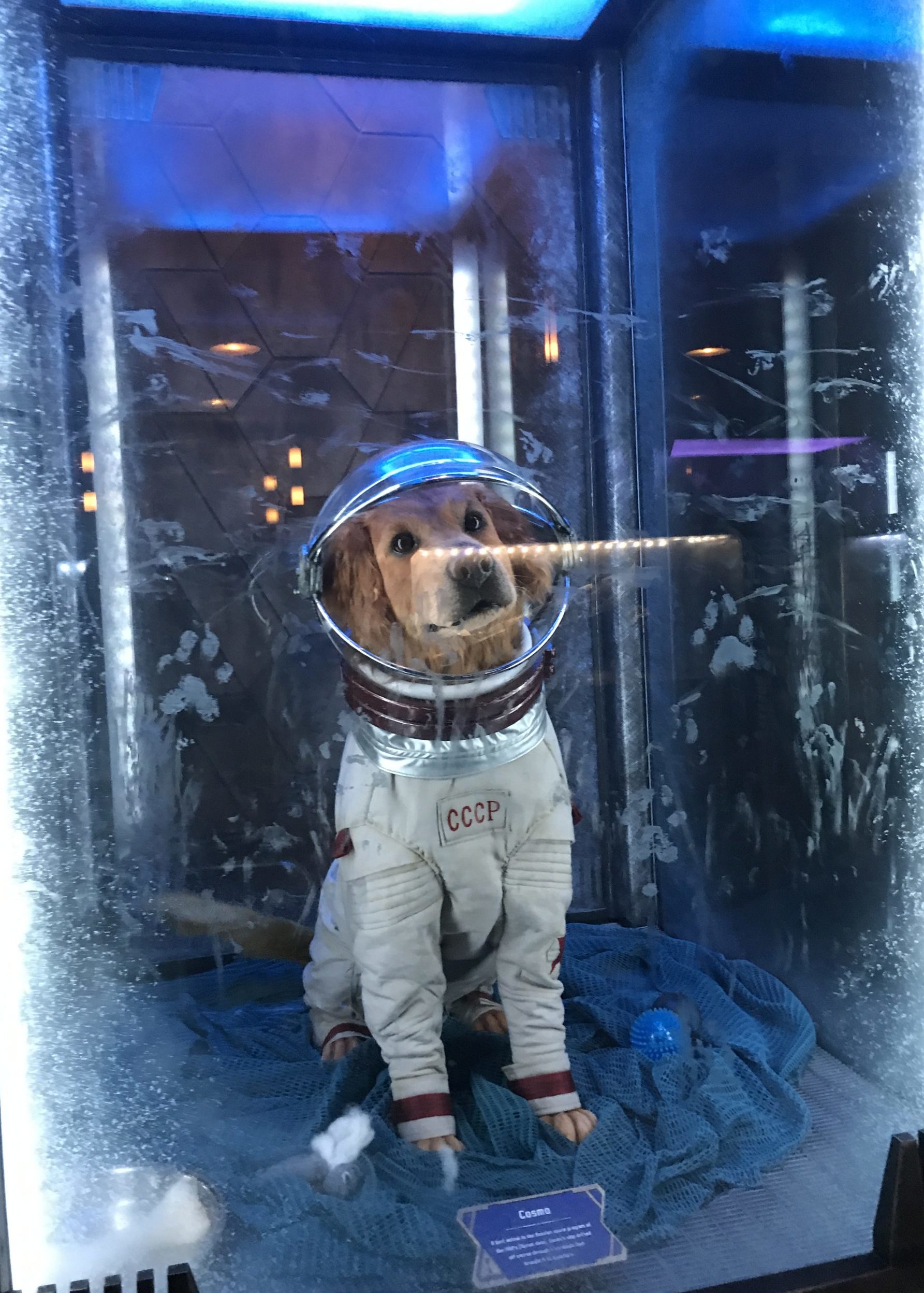 Cosmo at Mission Breakout