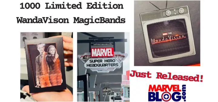 Limited Edition WandaVision MagicBands