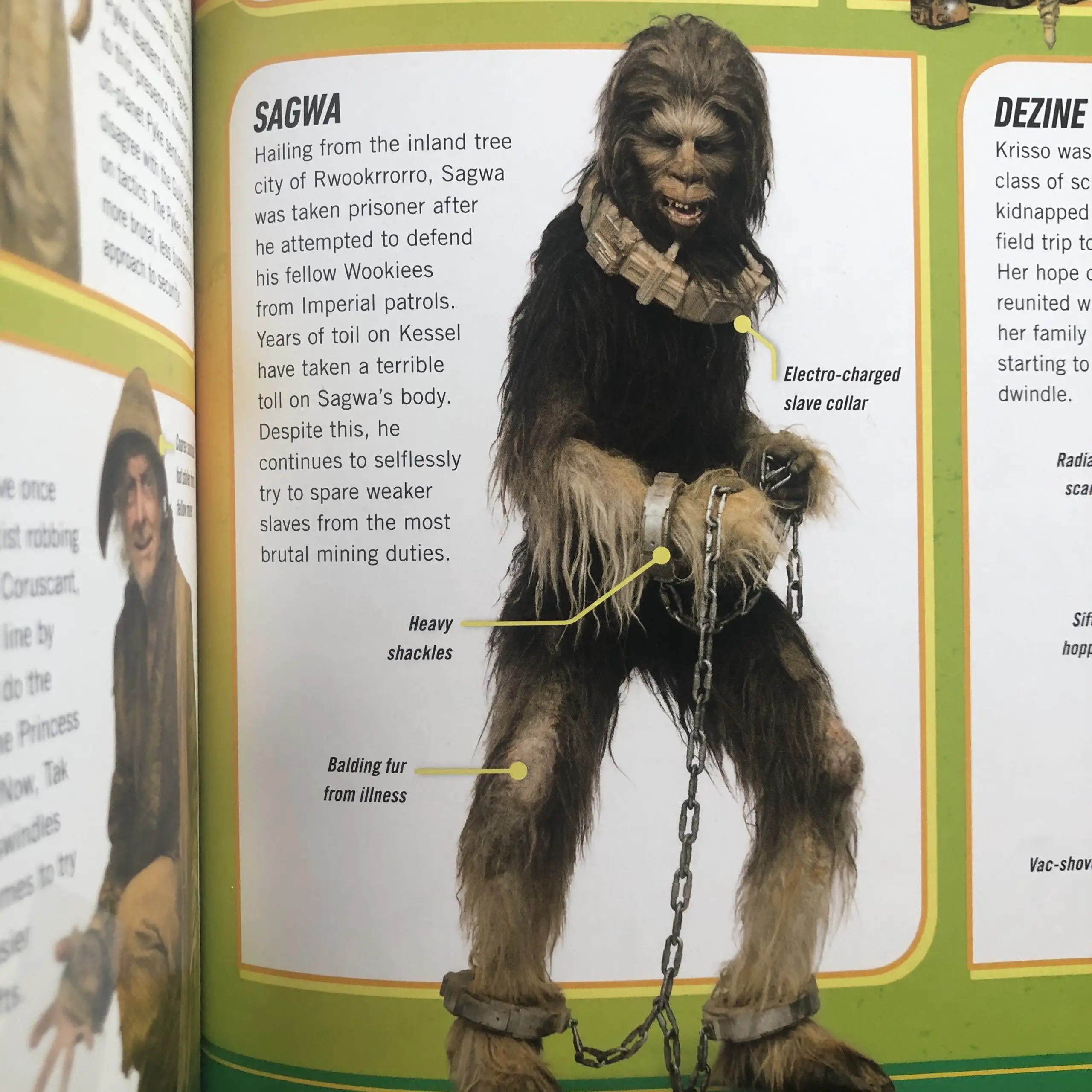Sagwa in Solo: The Official Guidebook