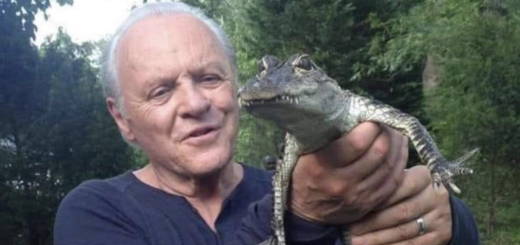 Anthony Hopkins with Alligator