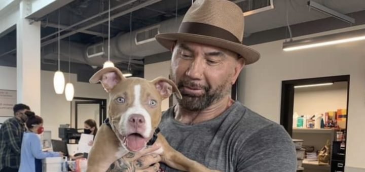 Dave Bautista (muscular man) holds a pit bull puppy
