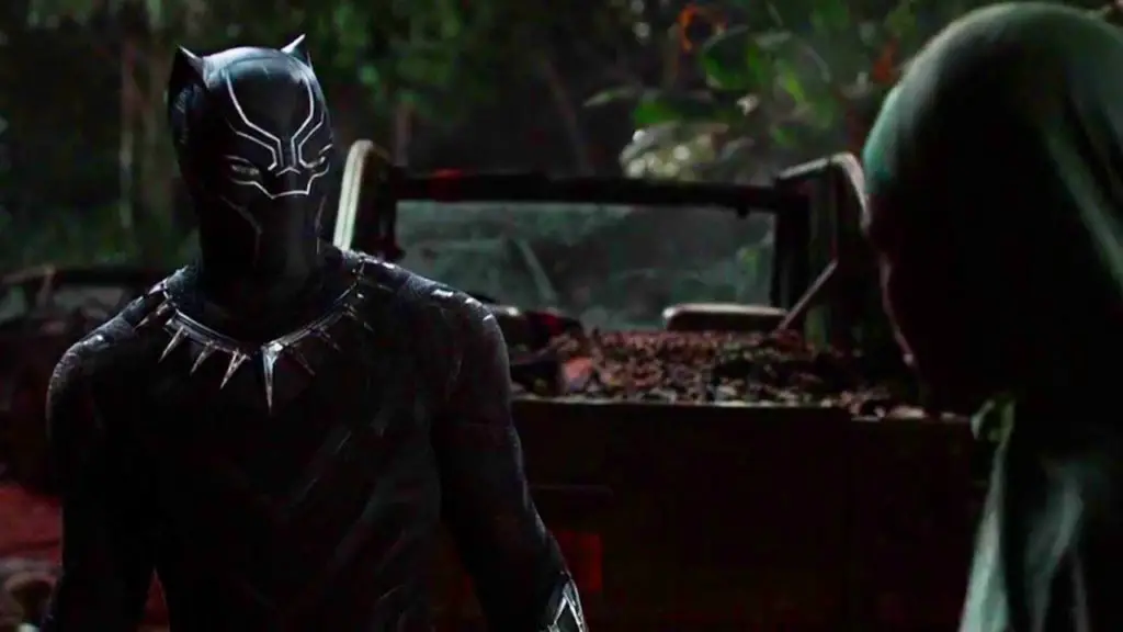 Black Panther and Nakia First Scene