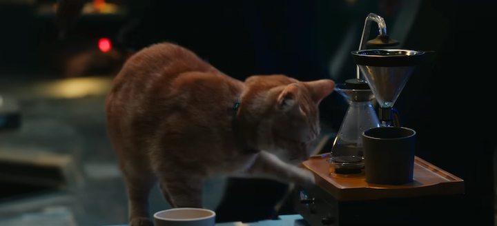 Goose drinks some coffee in The Marvels