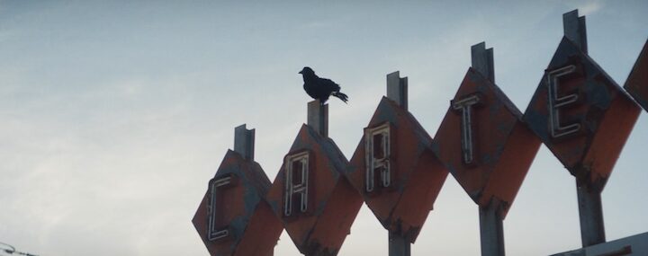 That crow hates one particular witch in Agatha All Along